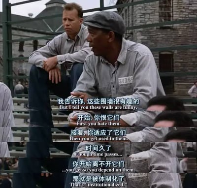 图片为电影《肖申克的救赎》中的经典场景截图，展示了囚犯艾利斯·雷丁（瑞德）和安迪·杜佛兰坐在监狱的露天看台上对话的画面。两人穿着灰色囚服，背景是监狱的石墙和铁栅栏。画面下方有中英文字幕，瑞德说出了关于“体制化”的经典台词：“我告诉你，这些墙很有趣的。开始，你恨它们。接着，你适应了它们。时间久了……你开始离不开它们。那就是被体制化了。” 场景氛围深沉，台词引人反思长期被环境同化的现象。