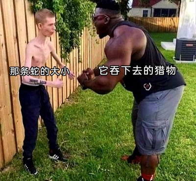 这张梗图通过体型形成强烈反差的两个人来制造笑点，左边身形瘦弱的男子对应文字“那条蛇的大小”，右边壮硕的肌肉男对应“它吞下去的猎物”，生动又夸张地展现了蛇类能够吞下远大于自身体型猎物的生物特性。画面中瘦弱男子被挤在木围栏旁，肌肉男身体前倾做出逼近的姿态，进一步强化了两者的体型差距，让这个关于蛇类进食的科普点以搞笑的方式呈现。