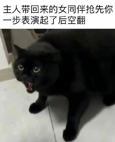 图片中是一只黑色猫咪，它嘴巴张开，眼睛瞪得很大，露出惊讶的表情，正注视着前方。图片上方配有文字：“主人带回来的女同伴抢先你一步表演起了后空翻”。通过拟人化的文字，将猫咪的惊讶神态与“被女同伴抢先表演”的情景联系起来，营造出幽默搞笑的效果，仿佛猫咪因失去表现机会而感到震惊和无奈。