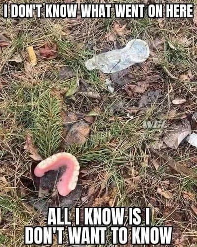 这是一张户外草地的实拍图，地面上散落着枯叶、杂草，同时出现了一个下半口假牙和一片类似女性护垫的透明塑料片。图中配有英文文字：“I DON'T KNOW WHAT WENT ON HERE
ALL I KNOW IS I DON'T WANT TO KNOW”，翻译成中文是“我不知道这里发生了什么，我只知道我不想知道”。通过这种图文结合的方式，用幽默的口吻表达出看到这两个物品出现在一起时，脑补出离谱画面后，抗拒探究真相的心态，图中没有双关、谐音梗等内容。