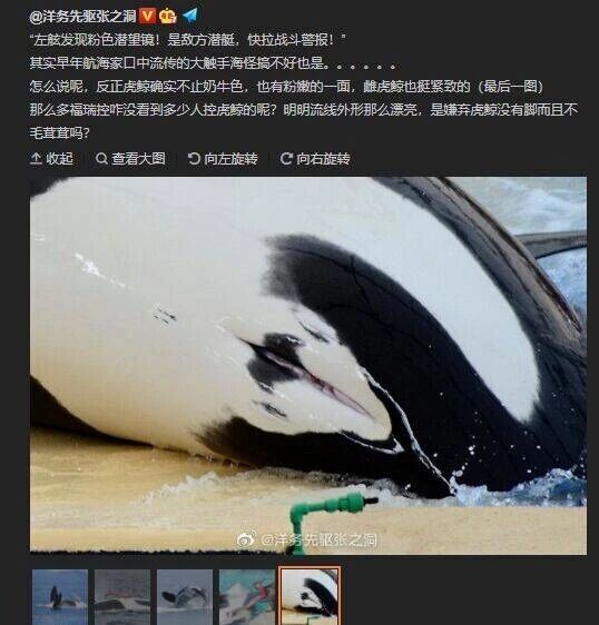现实海洋生物