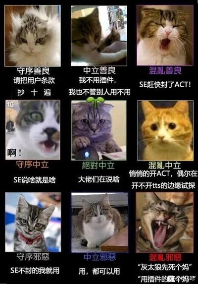 这是一张九宫格图文混排的梗图，结合了《龙与地下城》（DND）的九宫格阵营分类和《最终幻想14》（FF14）玩家社区中关于第三方伤害统计插件ACT的争议话题，用九只不同表情、动作的猫咪对应九种玩家态度：
1. 守序善良：猫咪表情严肃，配文“请把用户条款抄十遍”，代表严格遵守官方规则、抵制插件的玩家；
2. 中立善良：猫咪低头专注摆弄物品，配文“我不用插件，我也不管别人用不用”，代表自身遵守规则但不干涉他人的玩家；
3. 混乱善良：猫咪张嘴大喊，配文“SE赶快封了ACT!”，代表强烈呼吁官方封禁插件的玩家；
4. 守序中立：猫咪惊讶张嘴，配文“啊！SE说啥就是啥”，代表完全服从官方任何决定的玩家；
5. 绝对中立：猫咪趴在鼠标上表情平淡，配文“大佬们在说啥”，代表对插件相关话题完全不了解、不关心的玩家；
6. 混乱中立：猫咪表情疑惑，配文“悄悄的开ACT，偶尔在开不开tts的边缘试探”，代表偷偷使用插件、态度摇摆的玩家；
7. 守序邪恶：猫咪戴项圈表情严肃，配文“SE不封的我就用”，代表官方未明确禁止就使用插件的玩家；
8. 中立邪恶：猫咪表情平静，配文“用，都可以用”，代表支持使用各类插件的玩家；
9. 混乱邪恶：猫咪张嘴狂叫，配文“"灰太狼先死个妈"用插件的N个妈吧”，代表态度激进、辱骂使用插件玩家的极端反对者。