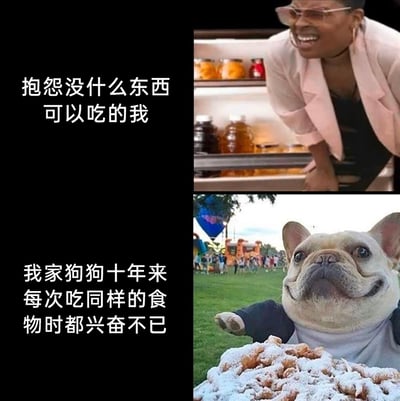这是一张上下拼接的对比类搞笑图，上图展示了一位女士扶着冰箱门，探身看向内部，冰箱里存放着不少罐装、瓶装食物，但她却露出不满嫌弃的表情，配文“抱怨没什么东西可以吃的我”，表现出人类在食物选择上的挑剔；下图是一只穿着衣服的法国斗牛犬，前爪抬起，眼睛睁大，面带笑意地注视着面前的食物，配文“我家狗狗十年来每次吃同样的食物时都兴奋不已”，呈现出狗狗对食物的容易满足。二者形成强烈反差，调侃了人类在生活中对拥有的事物不知足，而宠物却始终保持简单快乐的状态。