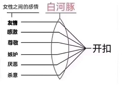 这是一张趣味调侃类梗图，采用类似雷达图的结构呈现内容：上方标注‘女性之间的感情’与‘白河豚’，左侧列出六种女性间的不同情绪，分别是友情、感激、尊敬、嫉妒、厌恶、杀意，这六种情绪的线条最终都汇聚到右侧的‘开扣’上。

谐音梗说明：‘白河豚’是‘百合豚’的谐音，‘百合豚’是网络上对喜爱百合（女性之间的恋爱关系）文化群体的称呼，这张梗图是调侃这类群体，认为在他们的视角里，女性之间的任何情绪互动最终都能被解读成带有百合向亲密暗示的‘开扣’行为，用夸张的方式放大了百合爱好者对女性间互动的过度解读趣味。
