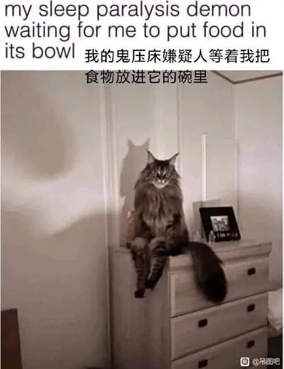 这是一张文字加注类的静态单图，主体是一只体型壮硕的缅因猫，它端正地坐在卧室的木质柜子边缘，前爪搭在柜子表面，表情严肃，眼神直勾勾地看向镜头方向，墙面投射出的猫咪影子轮廓尖锐，形似传说中恶魔的形象。图中配有中英双语文字，英文内容为“my sleep paralysis demon waiting for me to put food in its bowl”，对应的中文翻译是“我的鬼压床嫌疑人等着我把食物放进它的碗里”，创作者用“鬼压床恶魔”这个带有恐怖色彩的称呼来调侃这只猫咪，将猫咪催主人喂食的日常夸张化，仿佛它像让人恐惧的鬼压床恶魔一样“强势”催促主人，形成了强烈的搞笑反差感，生动展现出宠物催饭时的“压迫感”。图片右下角带有“@吊图吧”的水印标识。