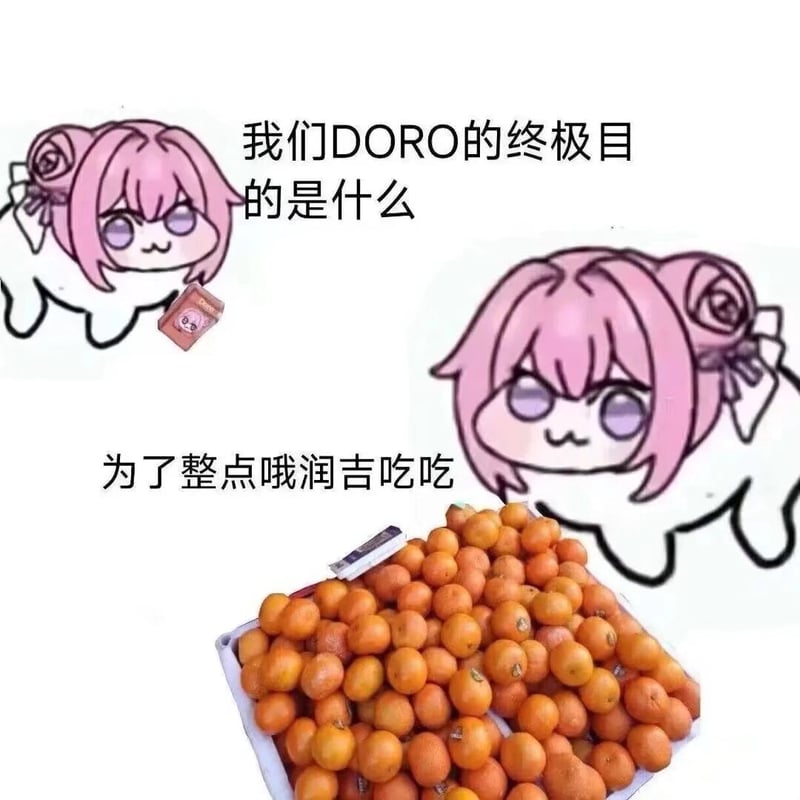 Doro的终极目的是整点哦润吉