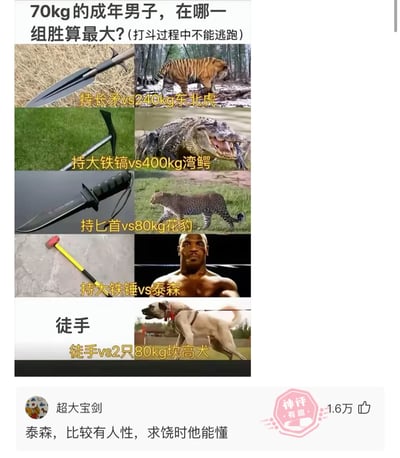 这是一张趣味脑洞对决选题图，提出了“70kg的成年男子在哪一组打斗中胜算最大（不能逃跑）”的问题，并列出了五组对决场景：1.持长矛对战240kg东北虎；2.持大铁镐对战400kg湾鳄；3.持匕首对战80kg花豹；4.持大铁锤对战拳王泰森；5.徒手对战2只80kg坎高犬。图的下方是用户“超大宝剑”的神评：“泰森，比较有人性，求饶时他能懂”，该评论没有从常规的打斗胜负角度分析，而是从“能否理解求饶”的另类角度给出选择，充满调侃和搞笑意味，引发趣味共鸣。