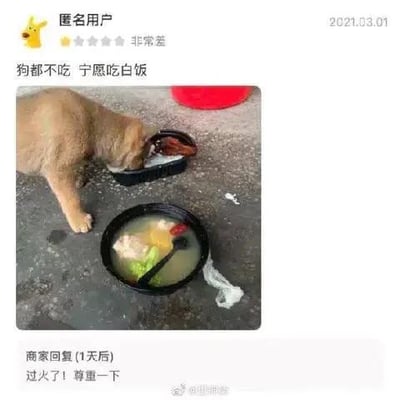 截图展示了一则搞笑外卖差评场景：匿名用户给出一星“非常差”评价，配文“狗都不吃 宁愿吃白饭”，并附上照片——一只狗正低头专注嗅闻黑色狗碗，对旁边地上放着的、装有肉和蔬菜的外卖汤碗完全无视。1天后商家回复“过火了！尊重一下”，形成幽默对比。用户通过狗的真实行为夸张吐槽外卖难吃，商家无奈回应引发笑点。