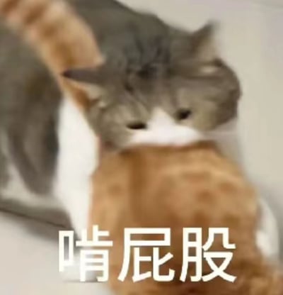图片中两只猫咪正在互动，一只灰白相间的猫正低头专注地啃咬另一只橘色猫咪的臀部，橘猫则背对镜头，似乎并未反抗。画面下方配有醒目的白色文字“啃屁股”，直接点明了猫咪的行为，整体场景充满生活气息和萌宠特有的搞笑感，没有双关或谐音梗，纯粹展现动物间的趣味互动瞬间。