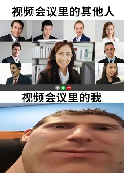 图片上半部分展示了视频会议中其他人的画面：多位穿着正式职业装的人士，佩戴耳机，面带微笑，背景多为办公室环境，显得专业且专注。下半部分则是“视频会议里的我”：一张近距离仰拍的人脸特写，表情略显呆滞，头发凌乱，与上半部分的专业形象形成鲜明幽默对比，生动展现了人们在视频会议中的真实状态与他人表现的反差感。