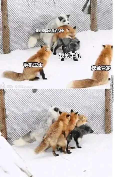 狐狸