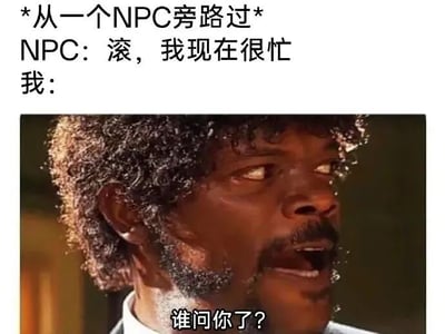 图片上方为文字描述游戏场景：'*从一个NPC旁路过* NPC: 滚，我现在很忙 我:'，下方是一张人物截图，图中男性表情困惑且惊讶，侧目张口，配文'谁问你了？'。整体通过NPC一反常态的粗鲁回应与玩家的疑惑反应形成幽默对比，吐槽游戏中NPC互动的意外情况。