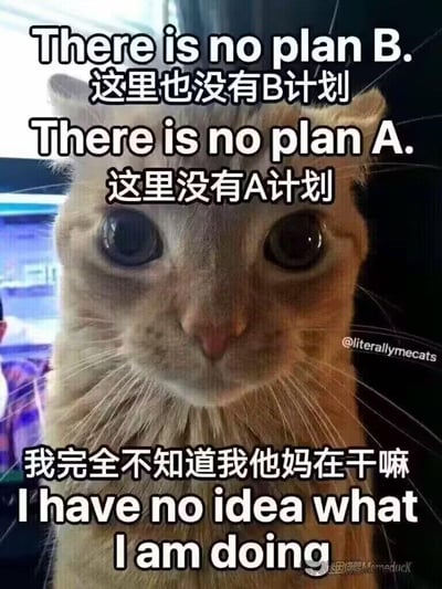 这是一张文字加注类的猫咪表情包，主体是一只睁着大圆眼、眼神迷茫无措的浅色猫咪，它直视镜头，神态显得慌乱又茫然。图中搭配了中英双语的吐槽文字，从上至下依次为：英文“There is no plan B.”对应中文“这里也没有B计划”，英文“There is no plan A.”对应中文“这里没有A计划”，最后是中文“我完全不知道我他妈在干嘛”对应英文“I have no idea what I am doing”。整张图用自嘲的方式，直白地表达出毫无规划、对当前状态完全失控迷茫的情绪，精准贴合当代人在工作、生活中偶尔陷入混乱、不知所措的状态，情绪表达直白又充满搞笑感。