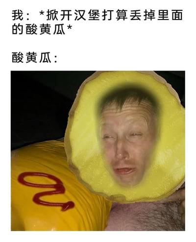 这是一张搞笑P图梗图，采用图文混排的形式呈现：上方文字构建场景，标注“我：*掀开汉堡打算丢掉里面的酸黄瓜*”，下方标注“酸黄瓜：”，搭配一张经过合成的图片——将一个面露委屈、双眼紧闭、眉头皱起、嘴角下垂，看起来快要哭出来的人脸嵌入酸黄瓜切片的截面中，用拟人化的方式模拟酸黄瓜即将被丢弃时的难过情绪，精准戳中部分人不爱吃汉堡里酸黄瓜的日常饮食场景，通过荒诞的视觉效果制造搞笑氛围。
