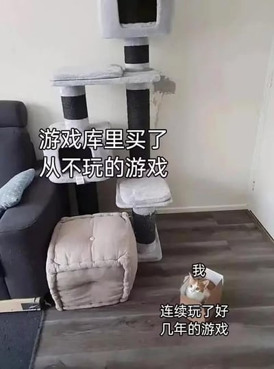 图中展示了一个室内场景，一旁是设计复杂、功能多样的豪华猫爬架和柔软的猫窝，但是猫咪却选择待在一个简陋的纸盒子里。图中配文用这个场景进行比喻：<br>「游戏库里买了从不玩的游戏」对应那些被闲置的猫爬架与猫窝，代表玩家囤下却从未打开的新游戏；<br>「我 连续玩了好几年的游戏」对应待在纸盒子里的猫咪，代表玩家反复游玩、爱不释手的老游戏。<br>这张梗图用猫咪的真实行为，调侃了游戏玩家囤了大量新游戏却只钟情于老游戏的真实状态，引发玩家共鸣。