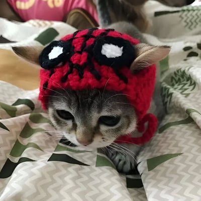 一只灰色的小猫戴着手工编织的蜘蛛侠造型帽子，帽子主体为红色，带有黑色的蜘蛛网纹路和标志性的大眼睛设计。小猫表情显得有些忧郁，耳朵从帽子两侧穿出，正趴在带有绿色和白色几何图案的毯子上。背景中隐约可见穿着粉色衣服的人。