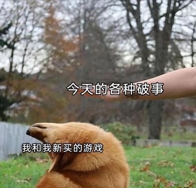 这是一张充满趣味的二次创作梗图，利用视觉错位的拍摄效果，将画面上方的手臂标注为“今天的各种破事”，下方的狗狗标注为“我和我新买的游戏”。狗狗的姿态看起来像是在躲开上方的手臂，生动形象地表达了游戏爱好者在面对日常繁杂琐事时，一心只想沉浸在新游戏中、不愿被烦心事打扰的心态，精准戳中了很多喜欢游戏的人的日常心声，带有轻松的吐槽感。