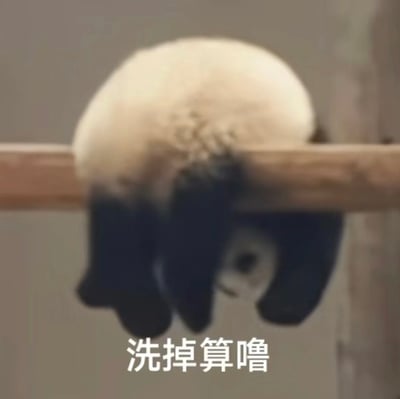 一只熊猫背对着镜头趴在木杆上，圆润的白色后脑勺对着观众，下方配文'洗掉算噜'，展现出一种摆烂、放弃挣扎的可爱姿态。