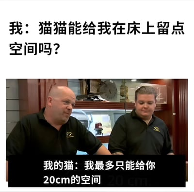这是一张幽默梗图，上方文字写着'我：猫猫能给我在床上留点空间吗？'，中间是两个穿着黑色衬衫的男性面对面坐着的照片，下方文字写着'我的猫：我最多只能给你20cm的空间'。图片通过拟人化猫咪的回应，幽默地表现了猫咪在床上占据空间的常见行为，引发养猫人士的共鸣。