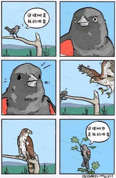 这是一组六格连环卡通漫画，讲述了一只小灰鸟的搞笑地盘宣言故事：第一格中，小灰鸟站在粗壮的树枝上，嚣张地宣称“这棵树是我的地盘”；第二格，小灰鸟的身体突然变大，试图通过体型威慑来守护地盘；第三格，变大的小灰鸟发出“嘶！”的示威声，态度强硬；第四格，一只凶狠的猛禽老鹰飞扑而来，直接将小灰鸟从树枝上赶走；第五格，老鹰占据了原本属于小灰鸟的树枝；第六格，小灰鸟转移到一旁的细小树枝上，再次理直气壮地宣称“这棵树也是我的地盘”。漫画通过小灰鸟“打不过就换个地方继续坚持”的行为，制造出反差感十足的幽默效果，展现了一种既识时务又有点倔强的搞笑特质。