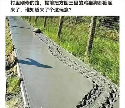 这是一张记录乡村修路趣事的图片：村里刚铺好的未凝固水泥路面上，一只乌龟正缓慢爬行，身后留下了一道长长的、凹凸不平的爬行痕迹。图片上方配文吐槽道“村里刚修的路，提前把方圆三里的鸡猫狗都圈起来了，谁知道来了个这玩意？”，原本为了防止常见的鸡猫狗踩坏路面做了防护，却没料到乌龟会成为“漏网之鱼”，形成了搞笑的反差感，让人哭笑不得。