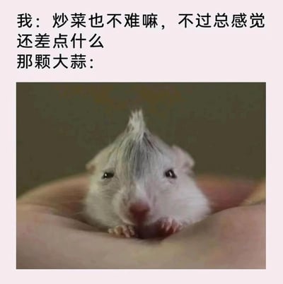 图片上方为文字内容：“我：炒菜也不难嘛，不过总感觉还差点什么 那颗大蒜：”，下方是一张呆萌的仓鼠照片。仓鼠毛发呈灰白色，头顶有一撮竖起的毛发，神似一颗大蒜。图片通过将大蒜拟人化为可爱的仓鼠，幽默地暗示烹饪时“总感觉差点什么”的关键正是被忽略的大蒜，用萌宠形象化解厨房小烦恼，充满生活趣味。