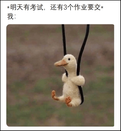 图片上方配有文字“*明天有考试，还有3个作业要交* 我：”，下方是一只白色小鸭子玩具悬挂在黑色绳子上的照片。小鸭子表情淡定，双腿自然下垂，呈现出悠闲放松的姿态。整体通过文字与图像的结合，幽默地表达了学生面对考试和作业压力时，内心想摆烂、暂时逃避现实的状态。
