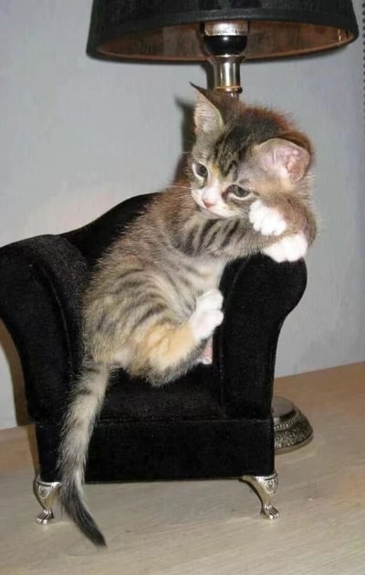 一只毛茸茸的虎斑小奶猫正舒适地坐在一把黑色的迷你扶手椅上，椅子下方有精致的银色金属腿。小猫的前爪搭在椅背上，身体微微倾斜，头部转向一侧，露出一双圆溜溜的大眼睛，表情充满好奇。椅子上方是一盏带有黑色灯罩的台灯，柔和的光线似乎正洒在小猫身上。整个画面呈现出温馨治愈的氛围，小猫与迷你家具的搭配显得格外可爱有趣。
