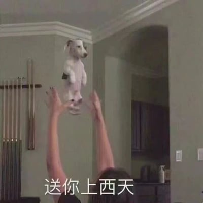 图片中一人双手高举一只白色小狗，小狗四肢舒展，表情淡定，仿佛在空中漂浮。图片下方配有文字“送你上西天”，形成幽默效果。这句话在中文里通常是带有攻击性的俗语，表示要让对方完蛋，但在此图中配合举起小狗的动作，产生了反差萌的搞笑效果，既可以理解为字面意义上的“送小狗上天”，也保留了俗语的戏谑感。