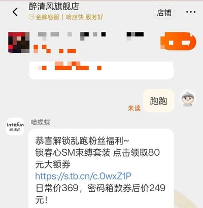 这是一张电商平台客服聊天界面截图，显示醉清风旗舰店的客服"喵蝶蝶"向用户"跑跑"发送促销信息。界面上方有店铺名称"醉清风旗舰店"及"金牌客服 | 响应快 服务好"标识，中间是聊天窗口，客服发送了包含"锁春心SM束缚套装"的推广内容，附带80元大额券领取链接，并标注日常价369元、券后价249元。画面中部分商品图片被打码处理。