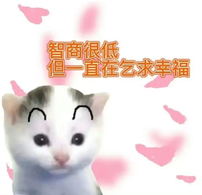 图片主体为一只灰白相间的猫咪，面部被添加了黑色手绘眉毛，表情显得无辜又略带喜感。背景为纯白色，周围散落着粉色心形装饰元素。图片中央有橙色醒目文字：'智商很低但一直乞求幸福'，整体风格可爱治愈，通过猫咪的萌态与自嘲式文字形成幽默对比，传递出一种简单纯粹的幸福感。