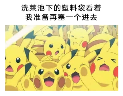 这是一张贴合生活日常的搞笑梗图，上方配有文字“洗菜池下的塑料袋看着我准备再塞一个进去”，下方是《宝可梦》动画里大量皮卡丘聚集的截图。这些皮卡丘表情动作各异，有的惊讶地大张嘴巴，有的激动欢呼，还有的捂脸露出无奈的神态，整体呈现出群情激奋的混乱状态。这张图用这种强烈的情绪画面，调侃生活里那种明明洗菜池下的塑料袋已经快要装不下，却还是想硬塞一个进去的偷懒又真实的日常行为，很容易引发大众共鸣。