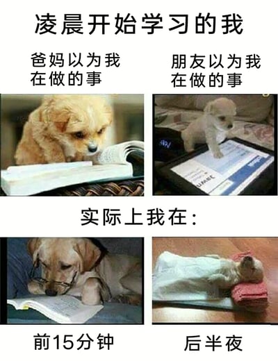 这是一张四格拼接的拟人化狗狗梗图，围绕“凌晨开始学习的我”展开反差叙事：第一行左侧是爸妈眼中的“我”，一只狗狗认真盯着摊开的书籍，仿佛在刻苦学习；第一行右侧是朋友眼中的“我”，一只小狗站在平板前，爪子放在屏幕上，像是在专注学习或工作；第二行左侧是实际的“我”前15分钟的状态，戴着眼镜的狗狗趴在书前，看似在坚持学习；第二行右侧是后半夜的“我”，裹着毛巾的小狗躺着熟睡。整张图用狗狗的形象幽默调侃了当代人计划熬夜学习，却因意志力不足，从强撑学习到直接睡着的真实反差，精准戳中了自我管理不佳、学习效率低的人群的生活痛点，充满搞笑与共鸣感。
