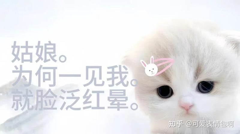 古风小生猫版：姑娘为何脸红？