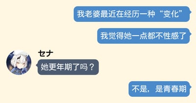 这是一张聊天对话截图风格的梗图，展示了一段关于妻子变化的幽默对话。一方提到妻子正在经历一种"变化"并觉得她不再性感，名为"セナ"的参与者猜测是否是更年期，最后揭晓答案是青春期，形成幽默反差。