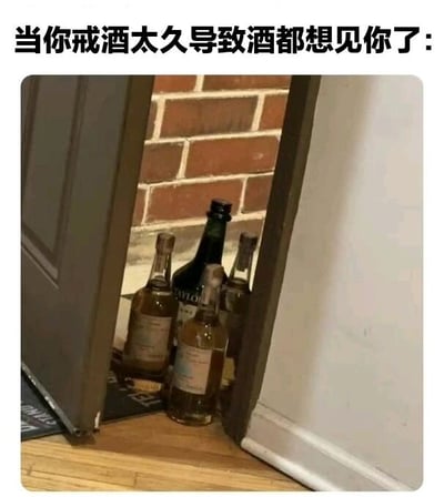 图片上方配有文字'当你戒酒太久导致酒都想见你了:'，下方是一张实拍图：几瓶不同种类的酒（包括透明瓶和深色瓶）被放置在微微打开的门缝处，瓶身朝向门内，背景可见红砖墙和木质地板。通过拟人化手法，将戒酒太久的情景幽默化为'酒主动找上门想见你'，营造出轻松搞笑的氛围。