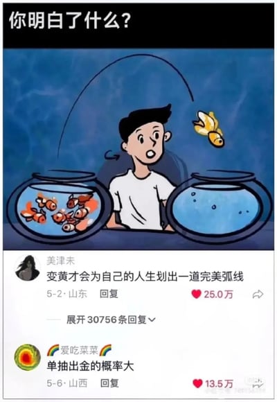 这是一张竖屏的小红书社交媒体截图，整体为图文混排形式。上方是一幅卡通漫画，画面顶部配有引导性文字“你明白了什么？”：漫画中一名身着白色T恤的卡通男生坐在两个圆形鱼缸中间，左侧鱼缸内挤满了多条橙红色的金鱼，显得十分拥挤，右侧鱼缸则空空如也；一条身体变为黄色的金鱼正从左侧鱼缸奋力跳出，在空中划出一道完美的弧线，朝着右侧鱼缸而去，男生转头看向这条金鱼，嘴巴大张，露出惊讶的神情。下方是两条高赞用户评论：第一条来自用户“美津未”，评论内容为“变黄才会为自己的人生划出一道完美弧线”，获得了25.0万的点赞，评论下方显示有30756条可展开的回复；第二条来自用户“爱吃菜菜”，评论内容为“单抽出金的概率大”，获得了13.5万的点赞。这幅漫画以金鱼的行为隐喻了跳出舒适圈、主动做出人生选择的深层含义，而两条评论则从不同角度对画面进行了解读，一条偏向人生励志的隐喻，另一条则借用游戏抽卡领域的“单抽出金”热梗玩梗，让画面充满了趣味性与多元解读空间。