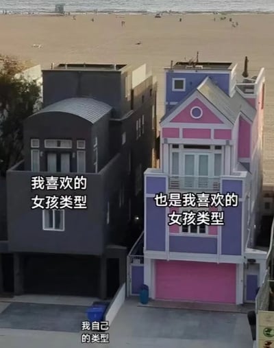 图片展示了海滩边两栋相邻的房子，左侧是深灰色调的简约风格建筑，右侧是粉紫色相间的多彩风格建筑。两栋房子上分别配有文字“我喜欢的女孩类型”和“也是我喜欢的女孩类型”，图片底部则标注“我自己的类型”。通过将两种不同风格的房子比喻成喜欢的女孩类型，再以“我自己的类型”形成幽默对比，暗示喜欢的类型多样，同时带有自我调侃的意味。