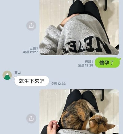 这个梗图截取自一段聊天，对方用衣服和姿势制造“怀孕”的视觉错觉，发了张照片并配字“怀孕了”。朋友回复“就生下来吧”，下张图却揭晓真相：膝盖上的“肚子”其实是猫咪，形成搞笑反转，属于错位梗和视觉误导类的网络幽默。

**有明显的反转和视觉双关（错位梗）。**
