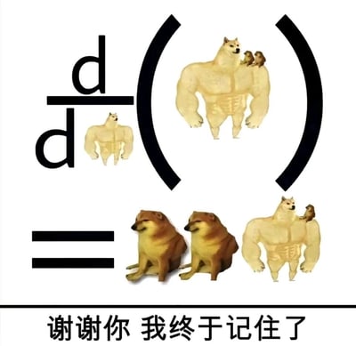 这是一张为帮助记忆微积分分式求导法则制作的趣味梗图，创作者将抽象的求导符号与运算过程，用当下流行的Cheems柴犬、肌肉柴犬（Doge衍生Meme形象）以及猴子的视觉元素替代：把求导式的分子设为肩头带有两只猴子的肌肉柴犬，分母设为小型肌肉柴犬，等号下方则对应呈现出两只普通Cheems柴犬与肩头带有一只猴子的肌肉柴犬，通过形象的视觉“拆分”对应求导公式的展开逻辑，底部配文“谢谢你 我终于记住了”，利用搞笑的联想记忆法，降低了复杂数学公式的记忆难度，让学习者能轻松记住求导法则，这类梗图在学生群体与知识分享类社交平台中很受欢迎。