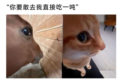 这是一张左右拼接的视觉错位趣味梗图，左侧是真实拍摄的牛的侧脸，牛的表情严肃、眼神锐利，呈现出充满威慑的神态；右侧是经过错位拼接的橘猫图像，将橘猫的侧脸与它的下半身进行错位组合，视觉上形成了奇特的对峙姿态。图片上方配有文字“你要敢去我直接吃一吨”，以牛的口吻放出夸张狠话，利用牛本身食量较大的特点，用“吃一吨”这种极度夸张的表述来强化威慑力，结合视觉错位带来的搞笑反差效果，让整个梗图充满幽默氛围，通常用于朋友间的调侃，以夸张的方式表达阻止对方做某事的态度。