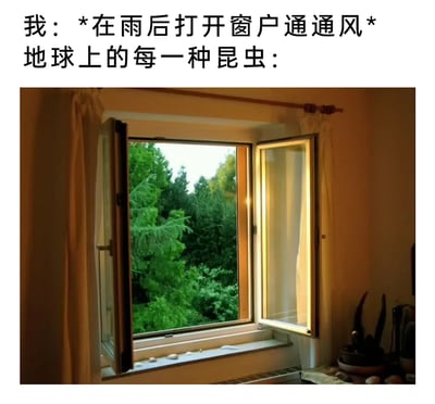 这是一张贴近生活的搞笑梗图，上方配有两段文字：第一段标注“我”的行为为“*在雨后打开窗户通通风*”，第二段标注“地球上的每一种昆虫：”，下方配图是一间室内的场景，一扇窗户向内打开，窗外是郁郁葱葱的绿色树林，房间内暖黄色的光线营造出温馨的氛围，通过这种图文搭配的方式，调侃了雨后开窗通风时，大量昆虫会借着这个机会涌入房间的生活尴尬瞬间，能够引发有相同经历的人群的强烈共鸣。