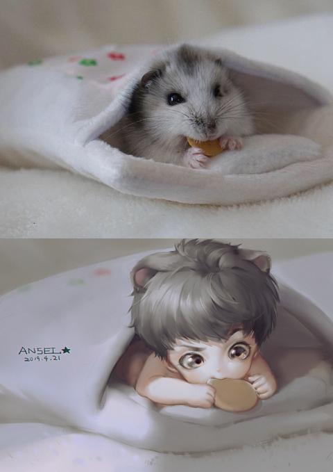 仓鼠