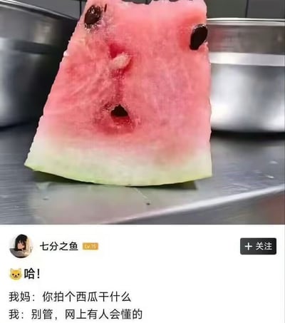 这是一张在网络上流传的趣味表情包，主角是一块因天然排列的瓜籽及小洞而酷似惊讶人脸的西瓜，配以网友“懂得都懂”的调侃评论，极具幽默与解构意味，经常被用于表达惊讶、无语或让人意外的场景。