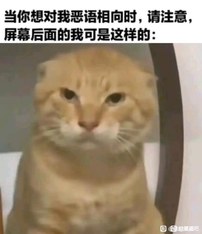 这张梗图上方配有文字“当你想对我恶语相向时，请注意，屏幕后面的我可是这样的：”，下方是一只表情严肃、眼神锐利的橘猫直视前方的照片。通过将网络交流中可能遇到的恶意言论与一只表情严肃的猫形象结合，形成幽默反差，暗示即使在网络上也不应随意恶语相向，因为对方可能有着意想不到的“气场”。