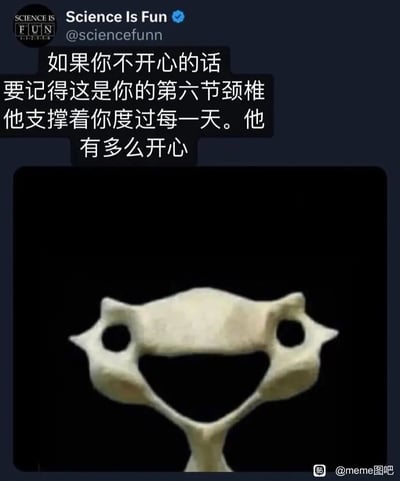 这是一张结合趣味科普与治愈情绪的图文类meme图，整体为社交媒体截图样式。画面上方是Twitter认证账号Science Is Fun的发布区域，配有一段拟人化的安慰文字，告诉情绪低落的人，图中的骨骼是人体的第六节颈椎，它每天都在支撑着头部陪伴人度过每一天，而这个颈椎骨骼的天然形状恰好呈现出一个开心大笑的笑脸模样，以此传递治愈暖心的情绪。画面下方展示了第六节颈椎的骨骼特写，其结构的孔洞和轮廓组合起来，酷似一个有着圆眼睛和大嘴巴的笑脸，视觉效果滑稽又有趣。图片右下角带有百度贴吧meme图吧的水印，整体风格轻松诙谐，用生活化的科普内容来给人带来情绪上的慰藉。