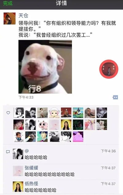 这是一张微信朋友圈的竖屏截图，用户“天仓”发布了一则职场自嘲类搞笑段子：领导询问“我”是否具备组织和领导能力，称只要有就会提拔“我”，“我”则回答自己曾经组织过几次罢工。段子下方搭配了一只嘴角上扬、表情略带戏谑的狗狗表情包，表情包上配文“行8”，强化了段子的搞笑反差感。截图中还显示了朋友圈的点赞头像列表，以及三位好友的评论，分别是一位匿名用户的“哈哈哈哈哈”、张缓缓的“哈哈哈哈哈哈哈哈哈哈哈”、低热怪的“哈哈哈哈哈哈哈”，均以大笑表达对段子的认可。图片右上角还有一个红色圆形水印，内有“修炼 努力”字样。