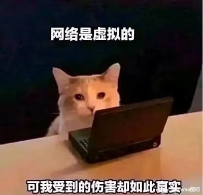 这是一张流行的网络表情包，图中一只浅米色猫咪坐在桌子前，正盯着面前打开的笔记本电脑；图片上方配白色文字“网络是虚拟的”，下方配白色文字“可我受到的伤害却如此真实”，用来表达在网络上遭遇不愉快的事情后，产生的真实受伤、低落的情绪，精准贴合了网民上网时遭遇网暴、不顺、坑害后的emo心情。