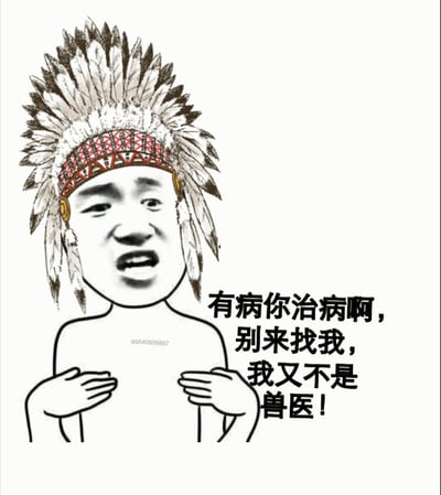 图片中是一个卡通风格的人物形象，头部戴着带有红色花纹的羽毛头饰，面部表情夸张，嘴巴张开，双手放在胸前，呈现出不耐烦的姿态。人物右侧配有文字：“有病你治病啊，别来找我，我又不是兽医！”。整体通过幽默的方式表达拒绝他人不合理请求的场景，带有讽刺和调侃的意味。