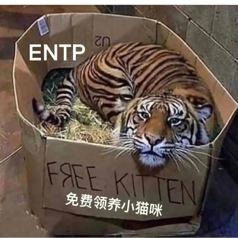 MBTI系列梗图